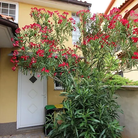 Villa Ambiente-2